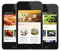 手機(jī)網(wǎng)站怎樣做才更有效果？如何做優(yōu)化？