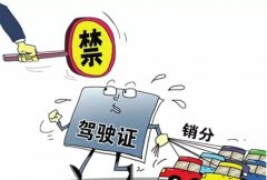 青島的朋友們注意啦，9月起禁止使用他人駕照銷