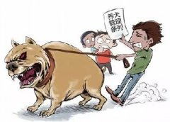 青島10月份一大波勁爆消息，你知道嗎？
