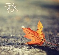 別被秋涼傷了身！人的這三個部位凍不得！