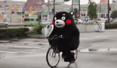 青島也有“共享單車”啦！說騎就騎的旅程GO