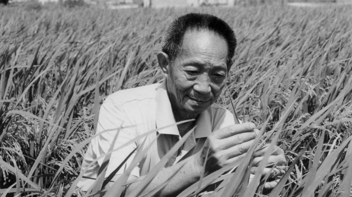 沉痛哀悼！袁隆平院士逝世